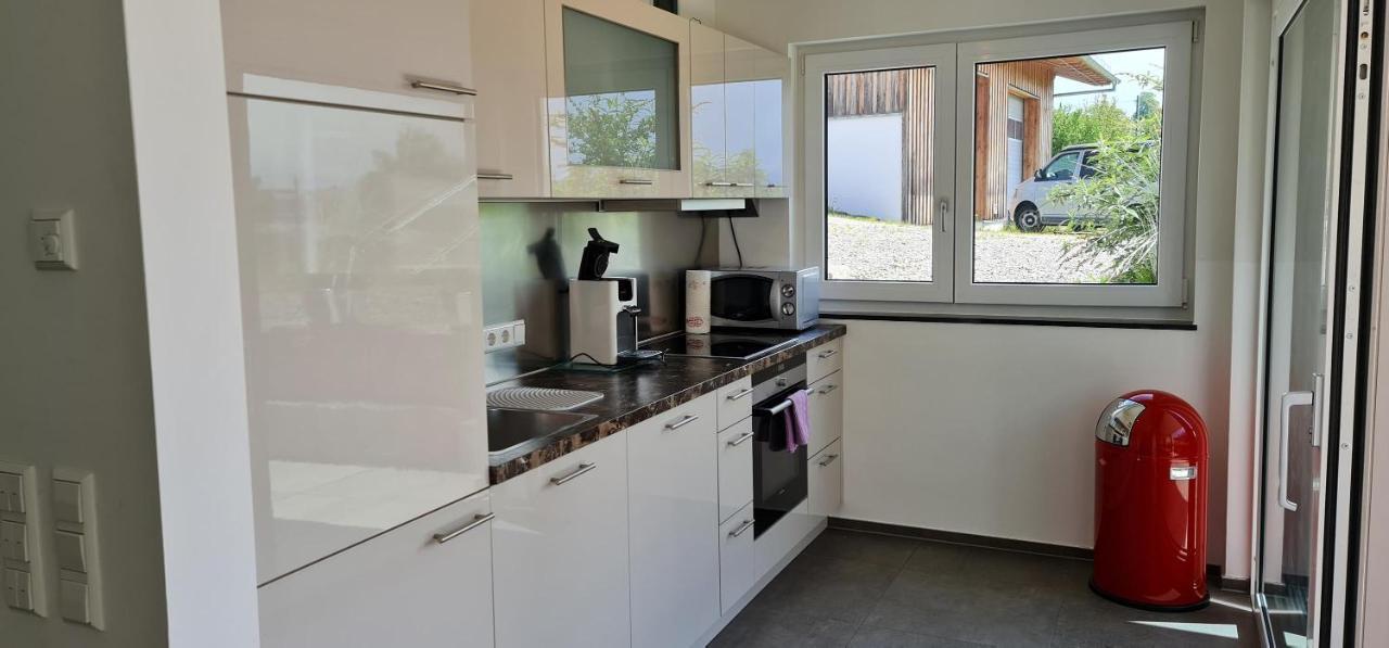 Alpenblick 1 Apartment Bodolz ภายนอก รูปภาพ